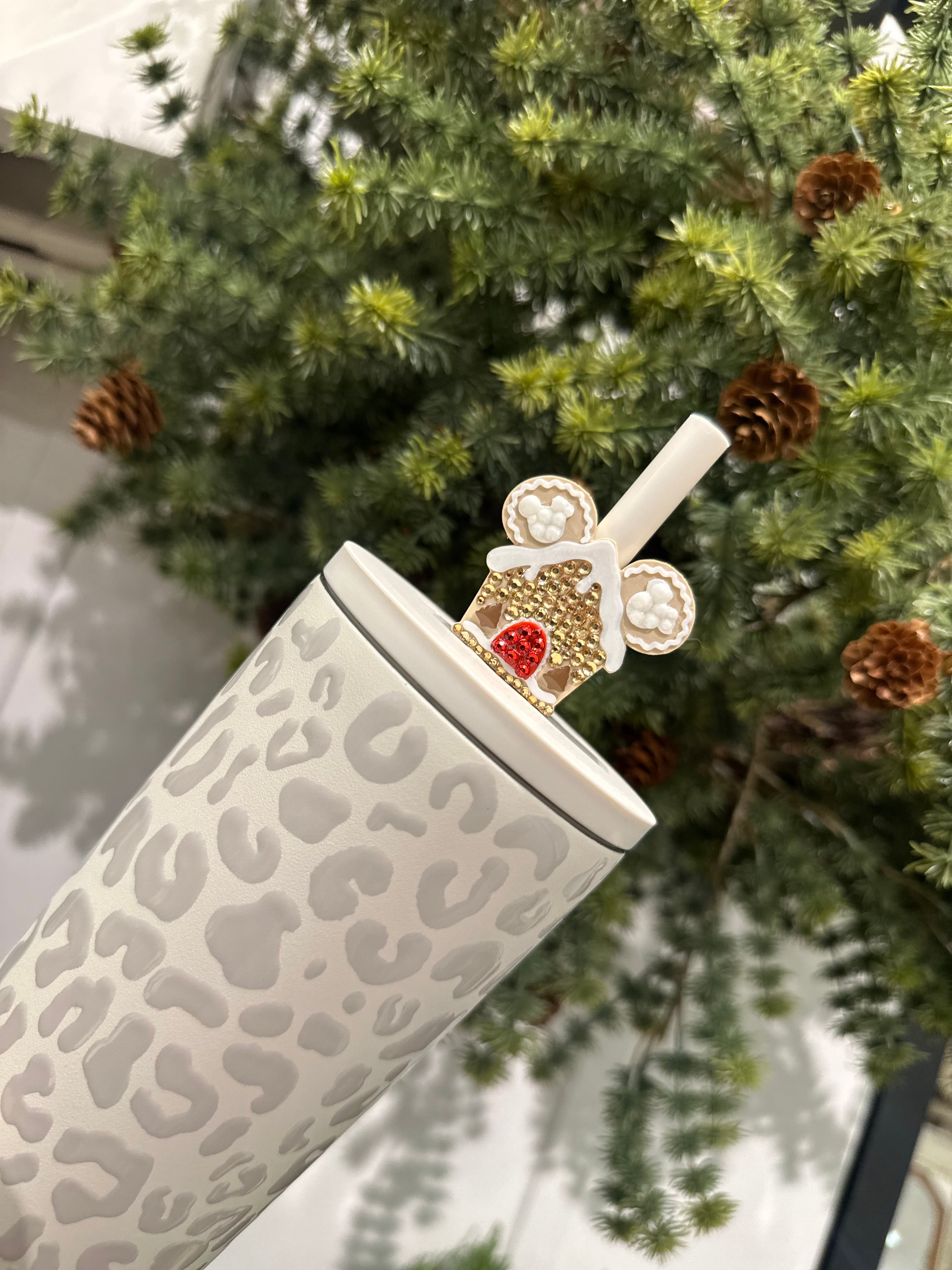 Neutral Ginger House Straw Charm