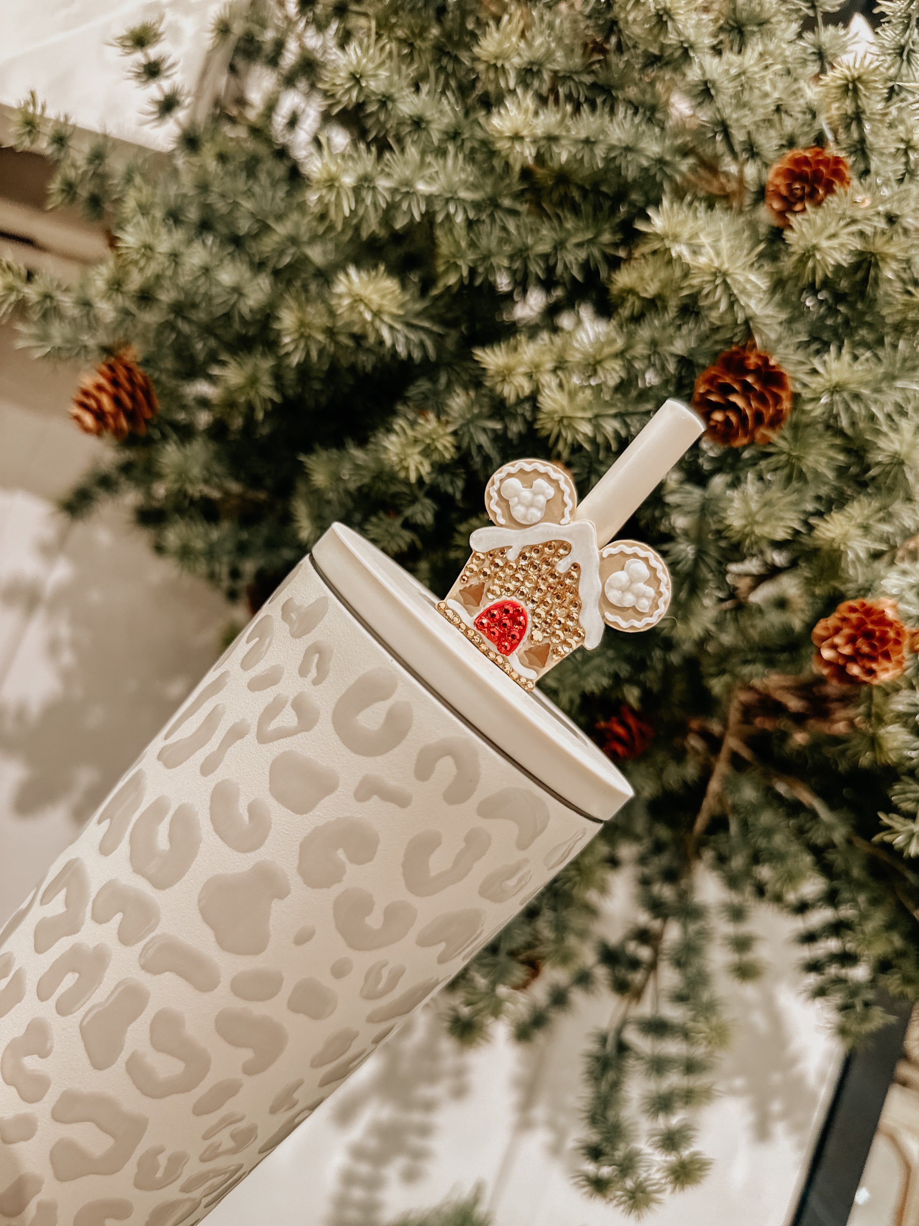 Neutral Ginger House Straw Charm